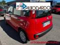 usato FIAT Panda