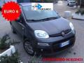 usato FIAT Panda