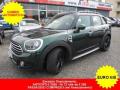 usato MINI Countryman