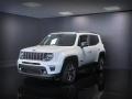 usato JEEP Renegade