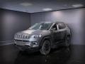 usato JEEP Compass