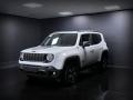 usato JEEP Renegade