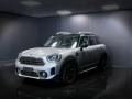 usato MINI Countryman