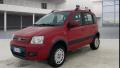 usato FIAT Panda