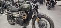 usato Triumph Scrambler 900