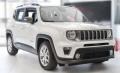 usato JEEP Renegade