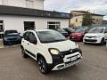 usato FIAT Panda Cross