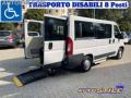 usato FIAT Ducato