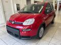 Km 0 FIAT Panda