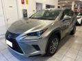 usato LEXUS NX 300