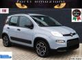 usato FIAT Panda