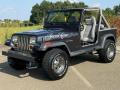 usato JEEP Wrangler