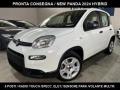 usato FIAT New Panda