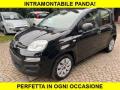 usato FIAT Panda