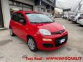 usato FIAT Panda