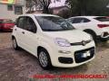 usato FIAT Panda