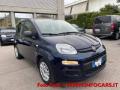 usato FIAT Panda