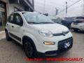 usato FIAT Panda