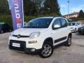 usato FIAT Panda