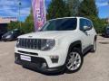 usato JEEP Renegade