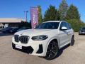 usato BMW X3