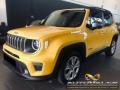 usato JEEP Renegade