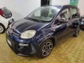 usato FIAT Panda