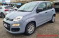 usato FIAT Panda