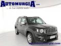 usato JEEP Renegade