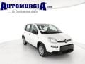 Km 0 FIAT Panda