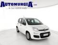 usato FIAT Panda