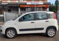 usato FIAT Panda