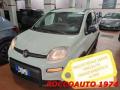 usato FIAT Panda