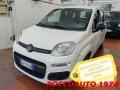 usato FIAT Panda