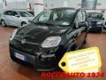 usato FIAT Panda