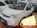 usato FIAT Panda