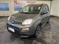 usato FIAT Panda