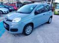 usato FIAT Panda