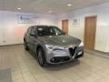 usato ALFA ROMEO Stelvio