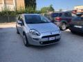 usato FIAT Punto Evo