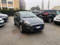 usato FIAT Punto Evo