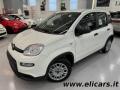 usato FIAT Panda