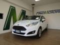 usato FORD Fiesta