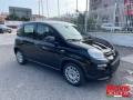 Km 0 FIAT Panda