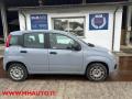 usato FIAT Panda