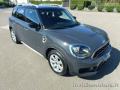 usato MINI Countryman