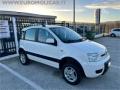 usato FIAT Panda