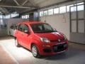 usato FIAT Panda