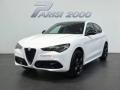 usato ALFA ROMEO Stelvio