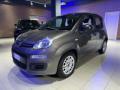 usato FIAT Panda